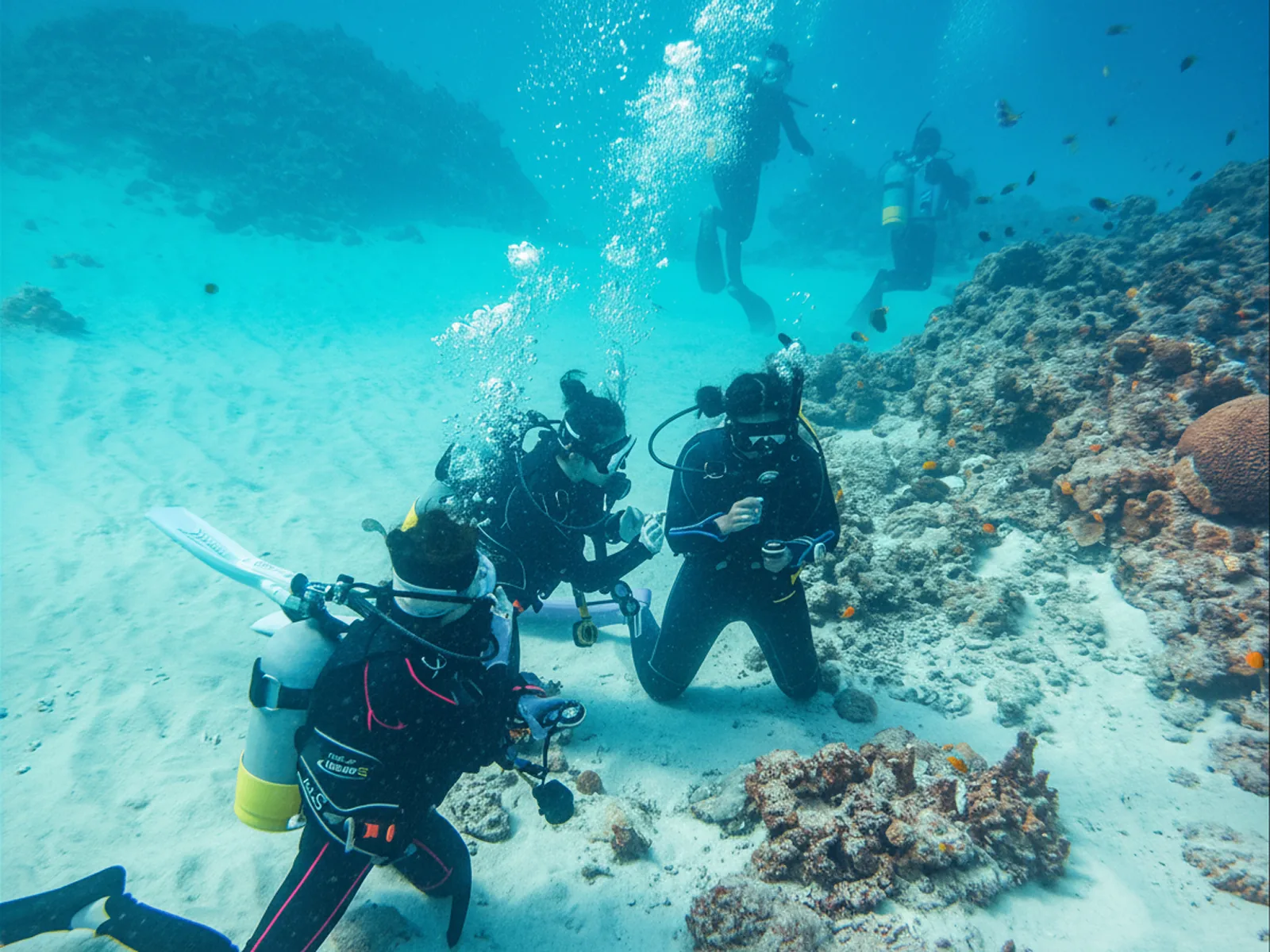 PADI 潛水證照